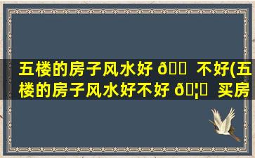 五楼的房子风水好 🐠 不好(五楼的房子风水好不好 🦉  买房风水注意事项)